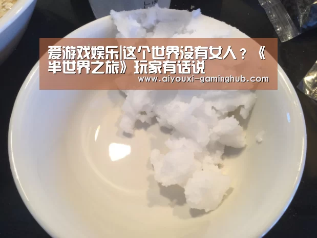 爱游戏娱乐|这个世界没有女人?《半世界之旅》玩家有话说(图3) 爱游戏娱乐