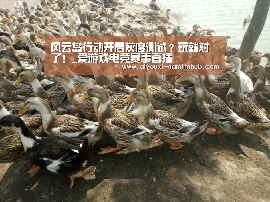 风云岛行动开启灰度测试?玩就对了!_爱游戏电竞赛事直播(图2) 爱游戏电竞官网