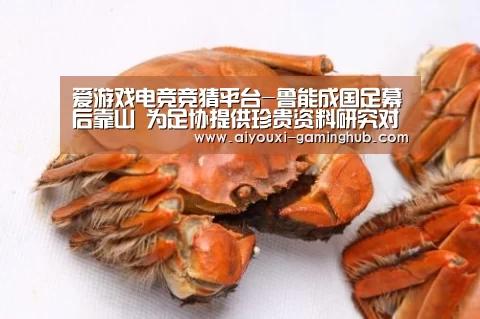 爱游戏电竞竞猜平台-鲁能成国足幕后靠山 为足协提供珍贵资料研究对手(图1) 爱游戏电竞官网