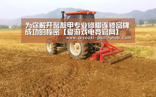 为你解开馨靓甲专业修脚连锁品牌成功的秘密【爱游戏电竞官网】(图2) 爱游戏电竞竞猜平台