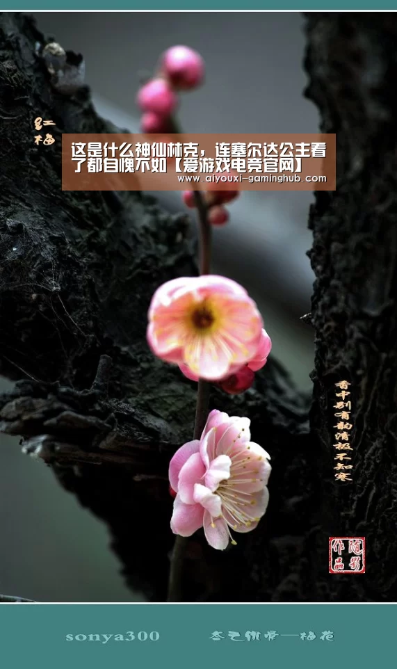 爱游戏电竞官网