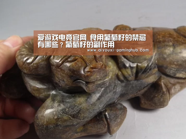 爱游戏电竞赛事直播